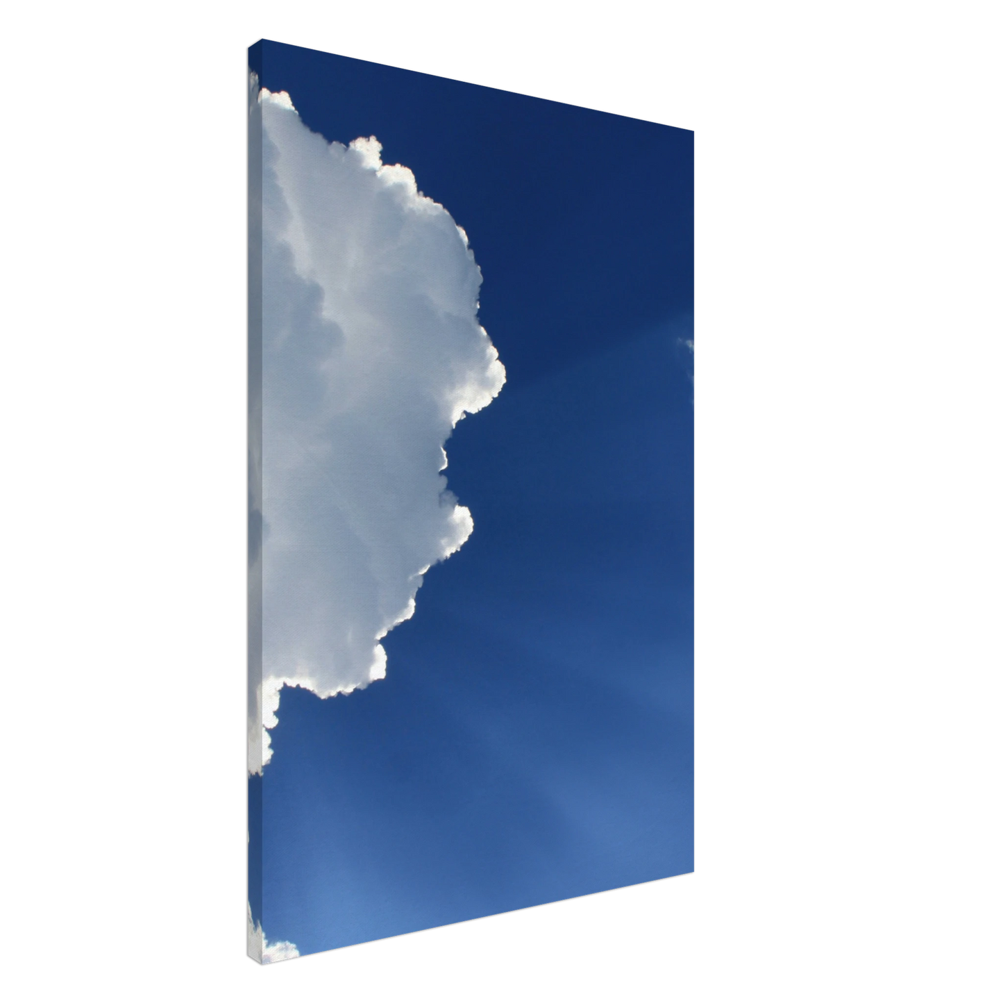 8bd92021-f6f5-4887-8c1b-a4de740a4c16