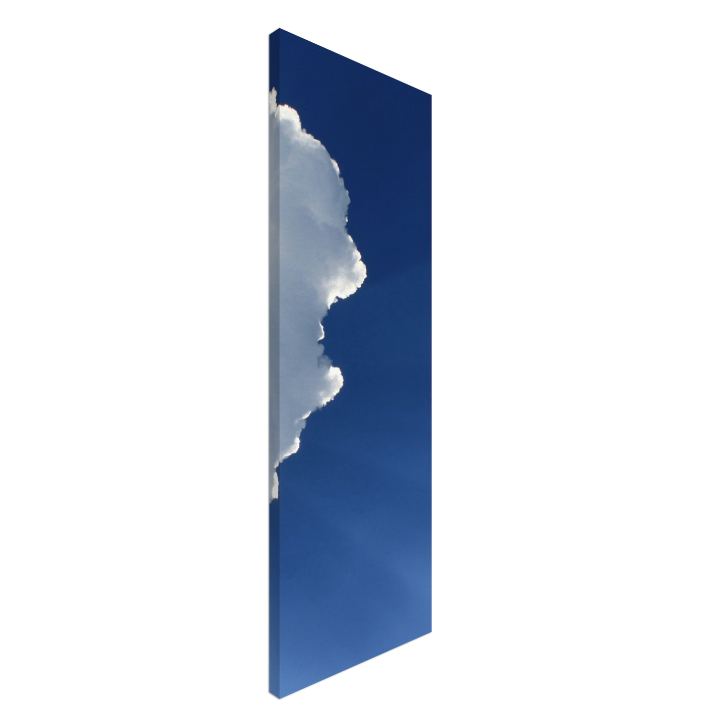 911b5301-4746-44bb-bdda-6e472e6c1a96